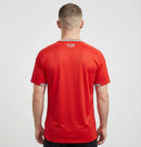 Camiseta País de Gales I 2026 - TOQUE ME VOY | Espanha S / Sin personalización / Sin Parche Otimizado