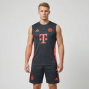 Kit Regata Entrenamiento Bayern de Múnich II 2026